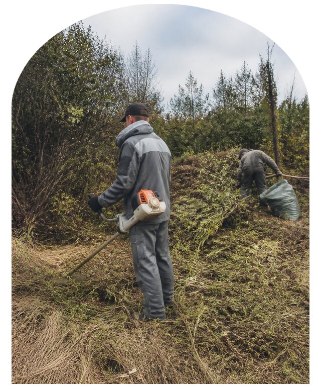 Расчистка заросшего участка от кустарника и поросли в Верхнем Уфалее
